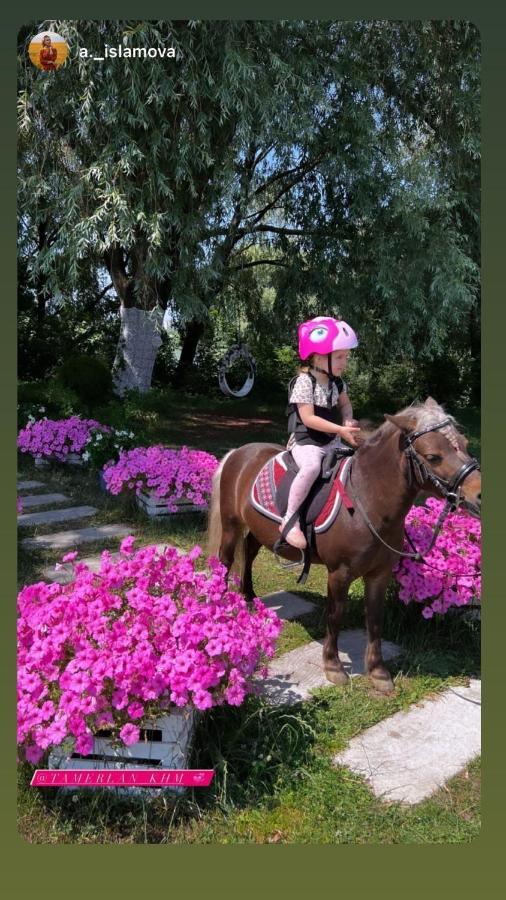 Tamerlan Хмельницький